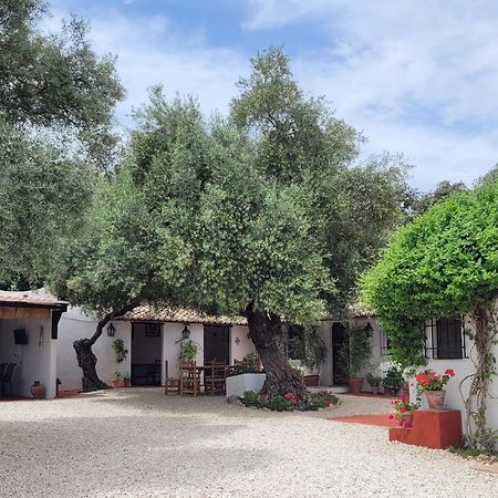 Casa Abanto Villa Ronda Exterior foto