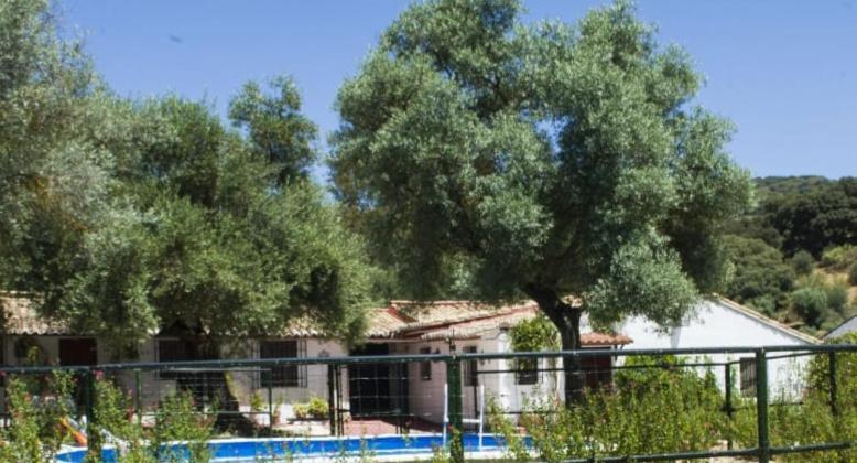 Casa Abanto Villa Ronda Exterior foto