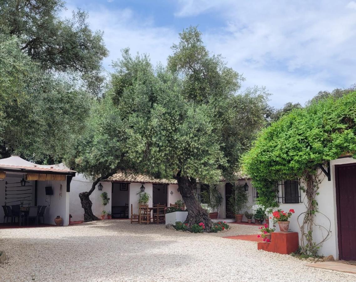 Casa Abanto Villa Ronda Exterior foto