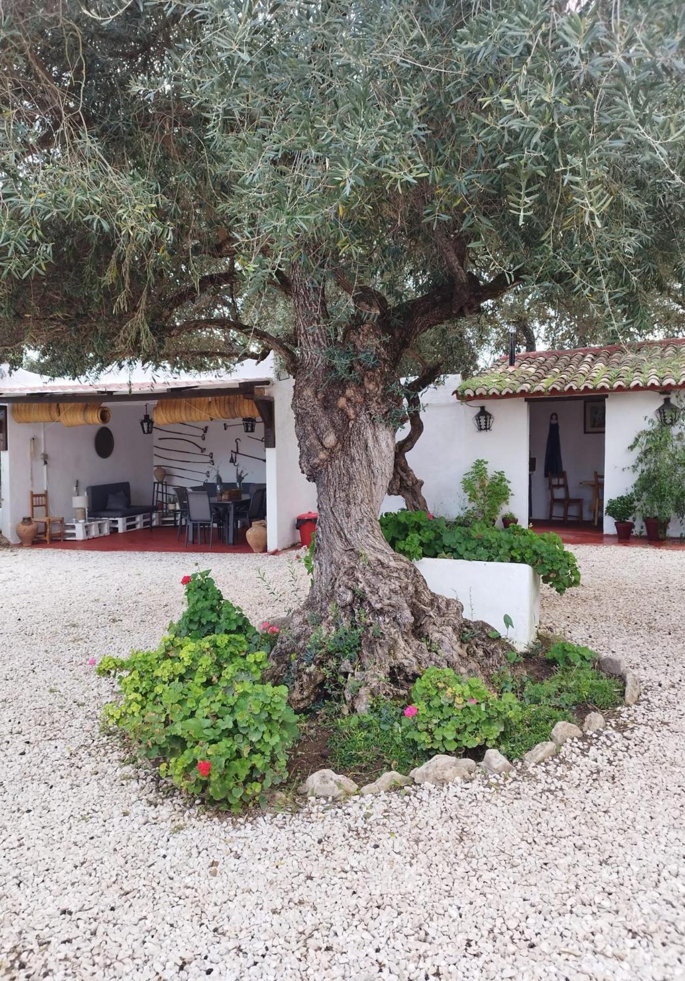 Casa Abanto Villa Ronda Exterior foto